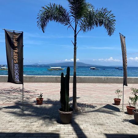 פוארטו גאלרה Papa Freds Beach Resort מראה חיצוני תמונה