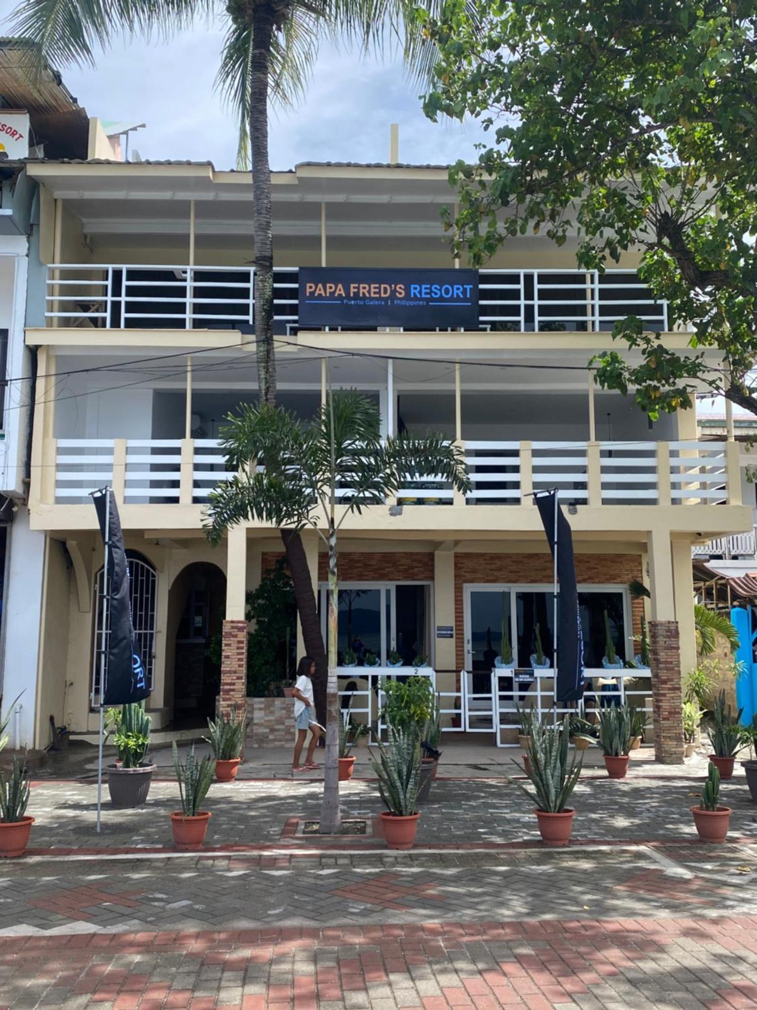 פוארטו גאלרה Papa Freds Beach Resort מראה חיצוני תמונה